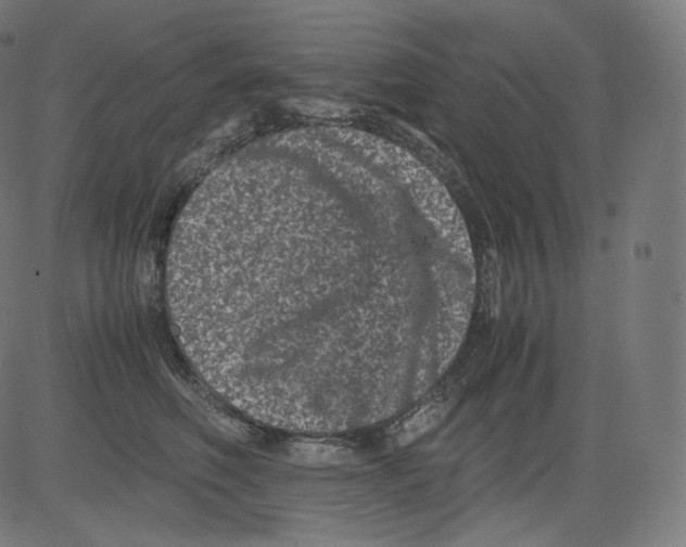 X0000081430614200702092201