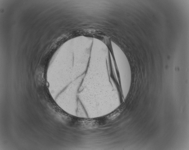 X0000081430615200702092201