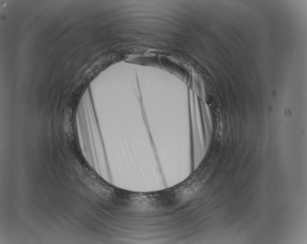 X0000081430616200702092201