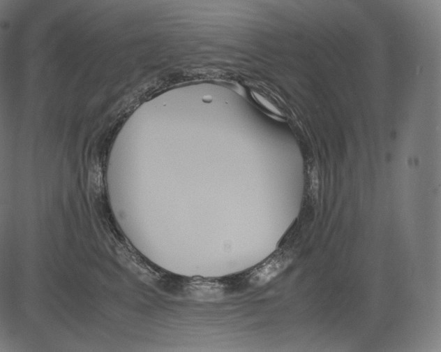 X0000081430617200702092201