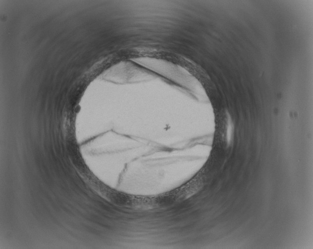 X0000081430618200702092201