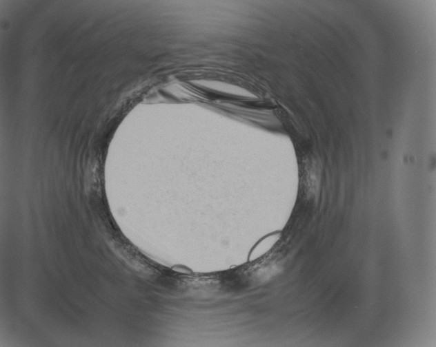 X0000081430619200702092201