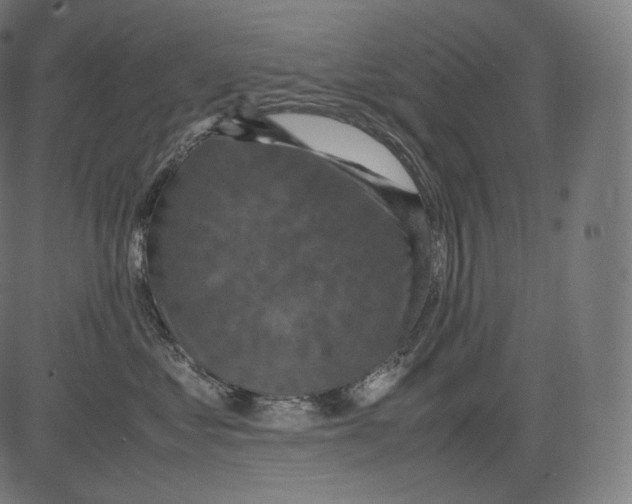 X0000081430621200702092201