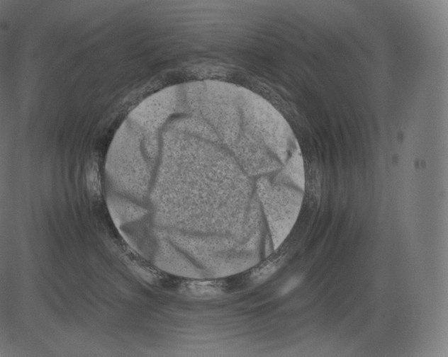 X0000081430622200702092201