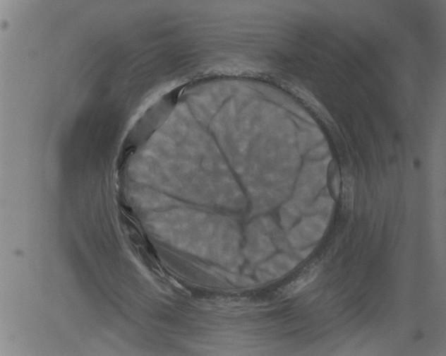 X0000081430626200702092200