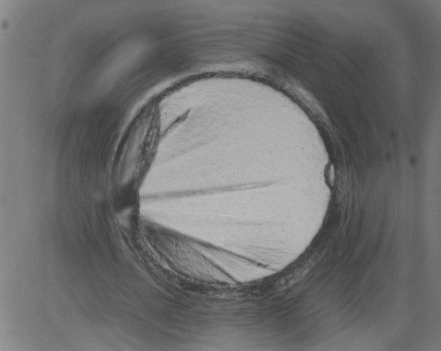 X0000081430628200702092200