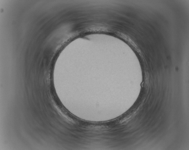 X0000081430629200702092200