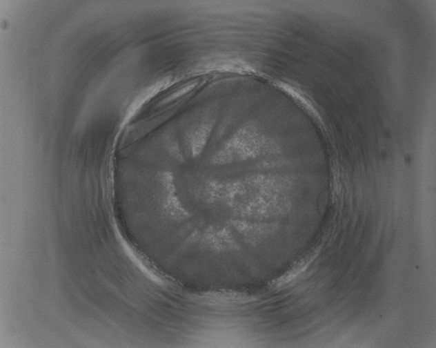 X0000081430630200702092200