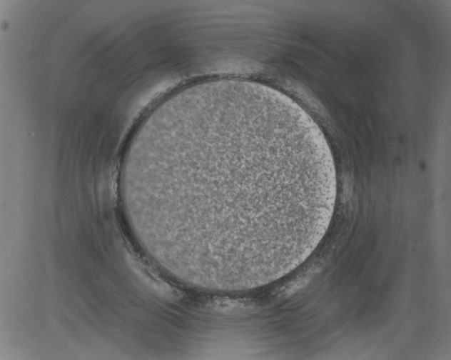 X0000081430632200702092200