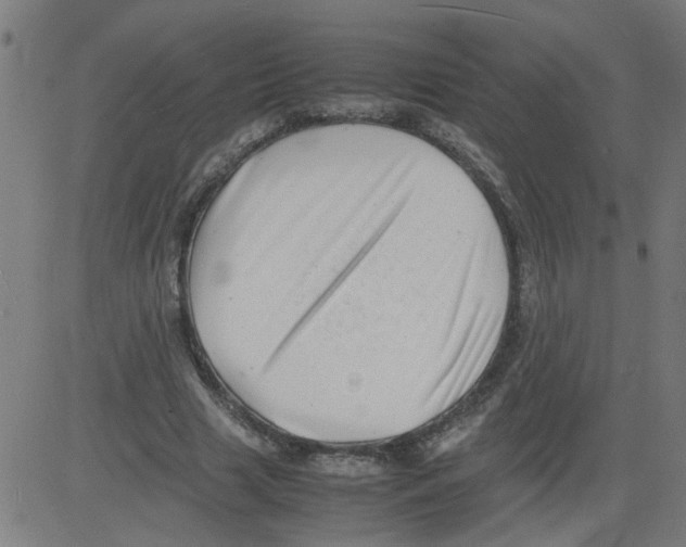 X0000081430633200702092200