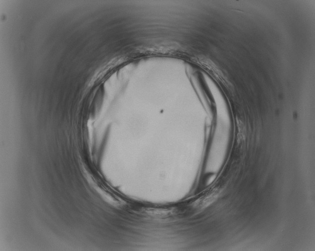 X0000081430634200702092200