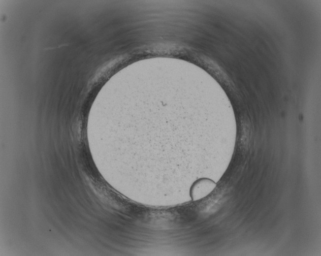 X0000081430636200702092200