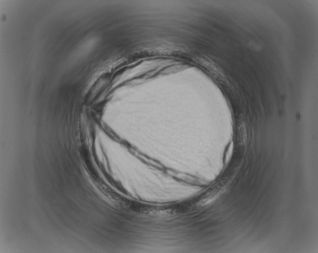 X0000081430638200702092200