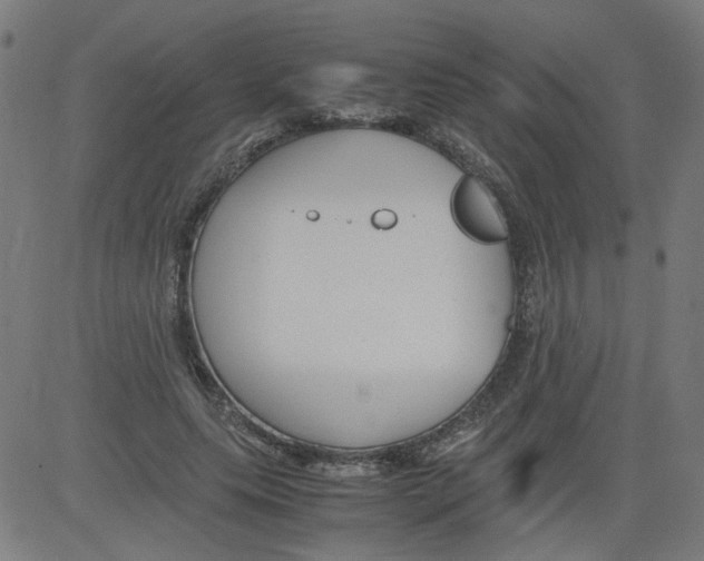 X0000081430639200702092200