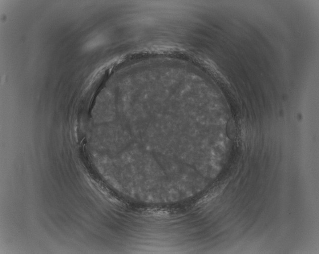 X0000081430640200702092200