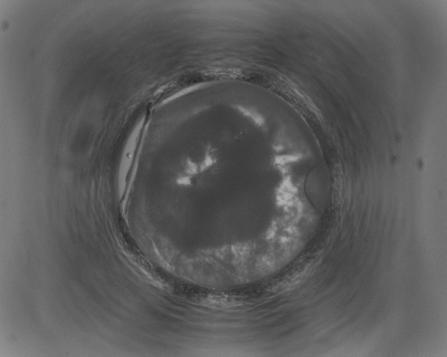 X0000081430641200702092200