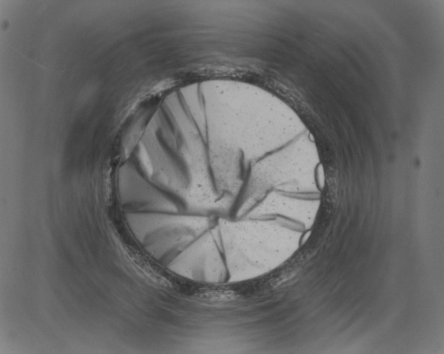 X0000081430642200702092200