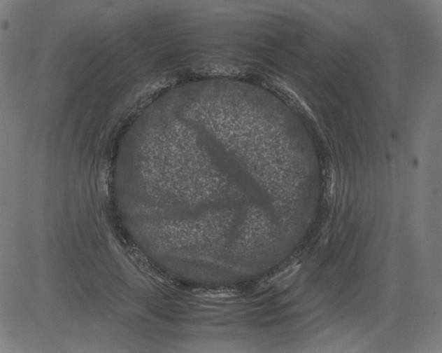 X0000081430643200702092200