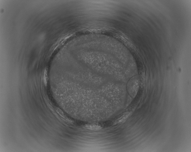 X0000081430644200702092200