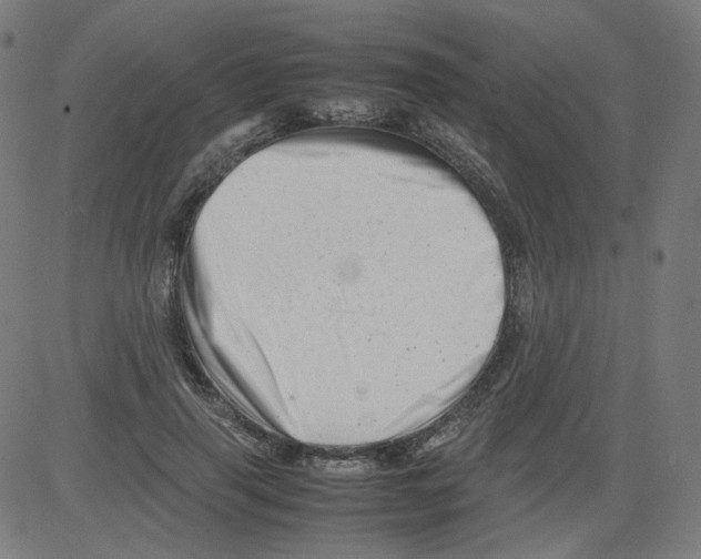 X0000081430645200702092200