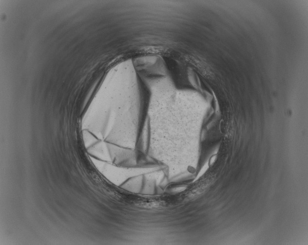 X0000081430646200702092200