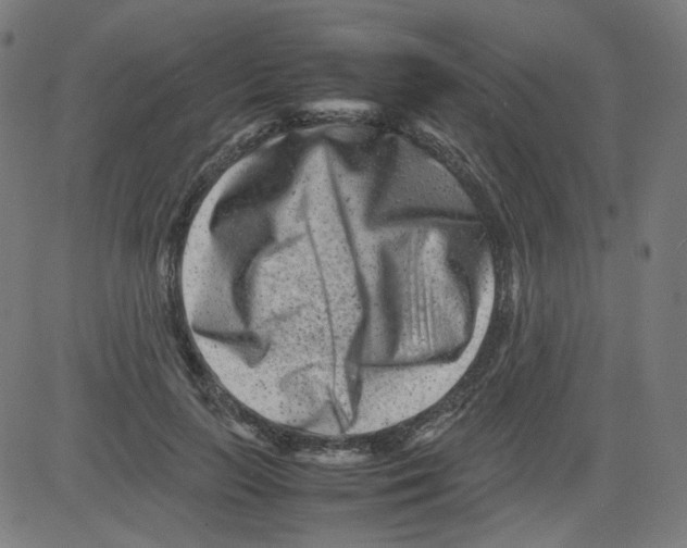 X0000081430647200702092200