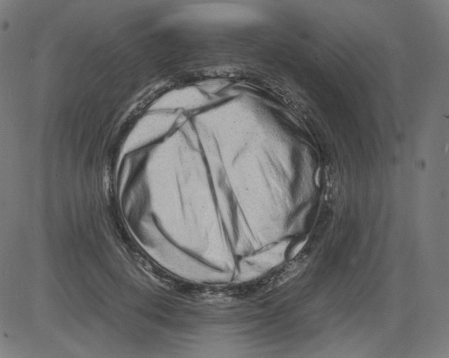 X0000081430648200702092201