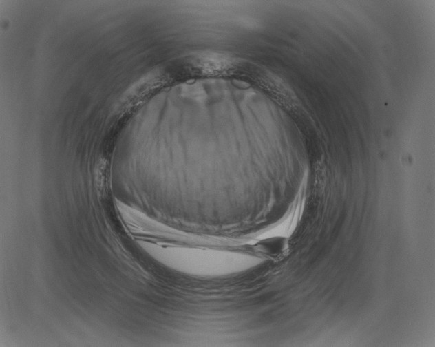 X0000081430650200702092201