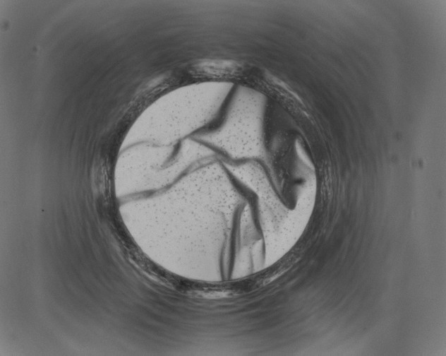 X0000081430651200702092201