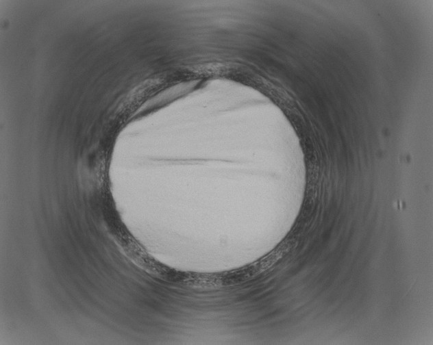 X0000081430652200702092201