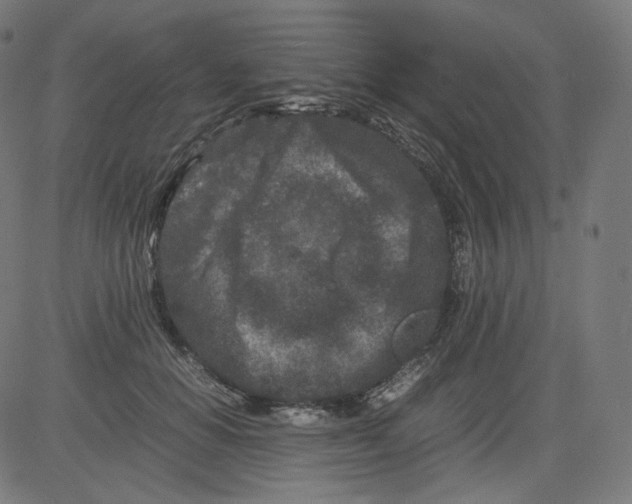 X0000081430654200702092201