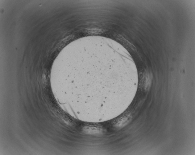 X0000081430655200702092201