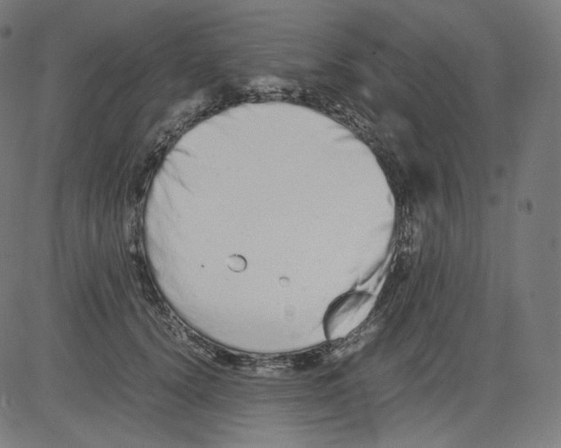 X0000081430656200702092201