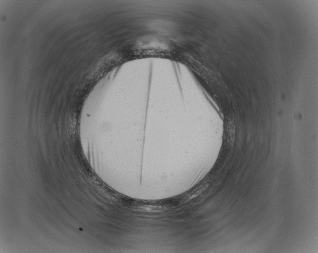 X0000081430657200702092201