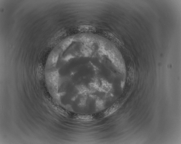 X0000081430659200702092201