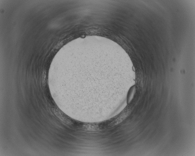 X0000081430660200702092201