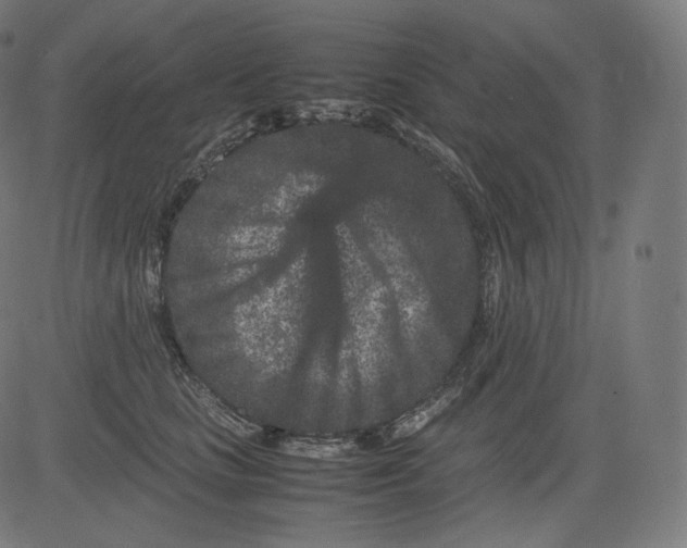 X0000081430661200702092201