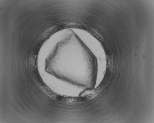 X0000081430662200702092201