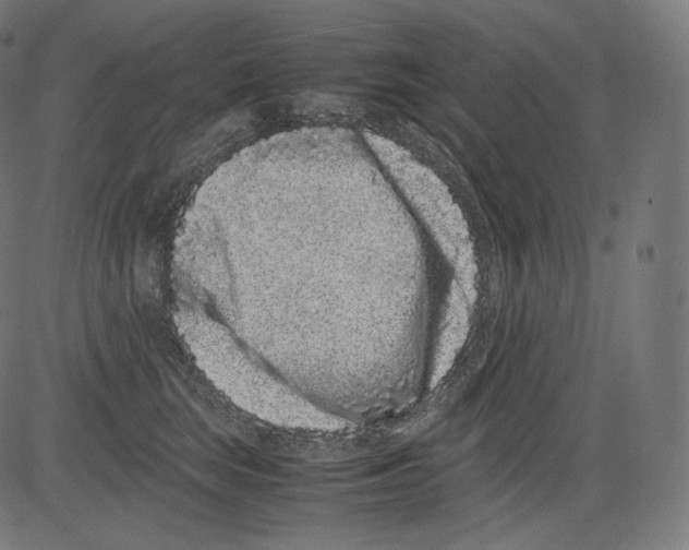 X0000081430663200702092201