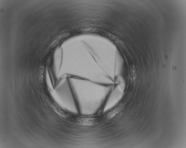 X0000081430664200702092201