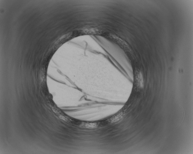 X0000081430665200702092201