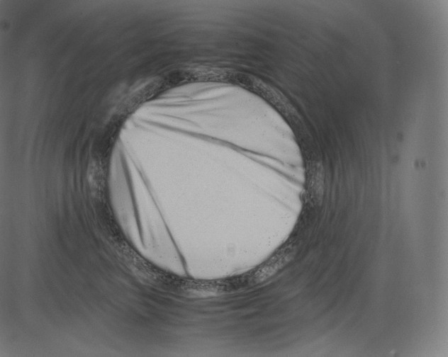 X0000081430667200702092201