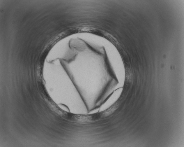 X0000081430670200702092201