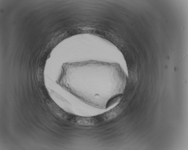 X0000081430671200702092201