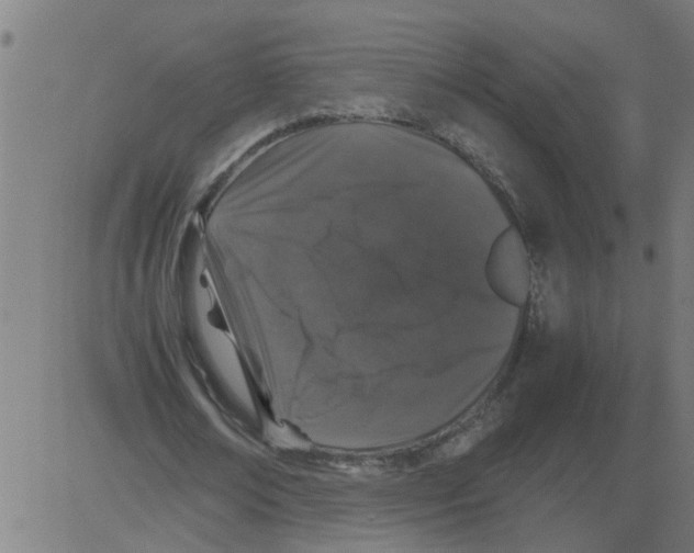 X0000081430674200702092200