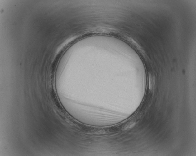 X0000081430675200702092200