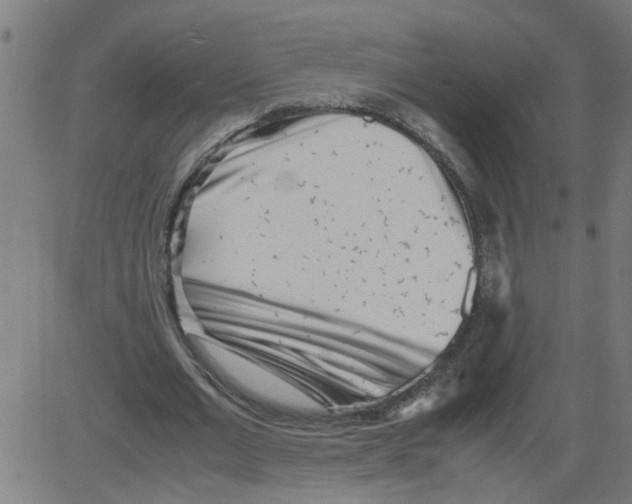 X0000081430677200702092200