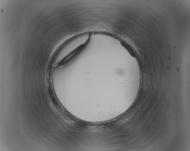 X0000081430680200702092200