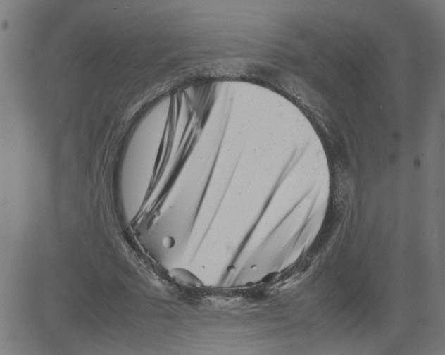 X0000081430681200702092200