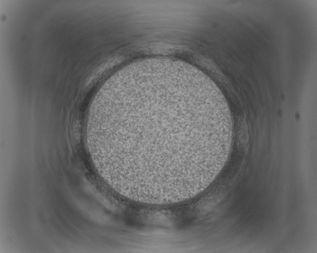 X0000081430683200702092200